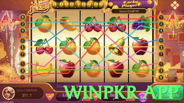 winpkr app Pakistan - 3