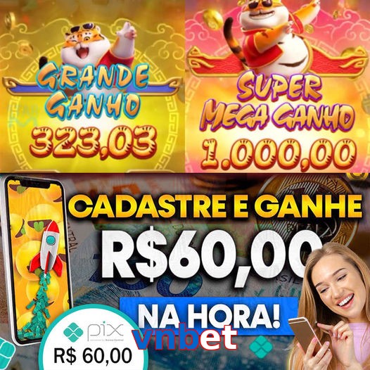 vnbet